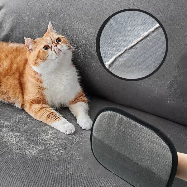 NordicPaws - Slut på hårkaoset